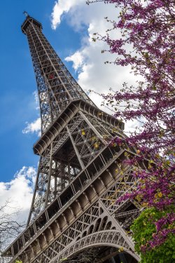 The eiffel tower in Paris