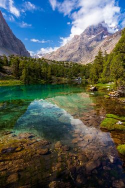 Mountain lake view vertical Scenic landscape with vibrant water surface forest and high mountain peak blue sky