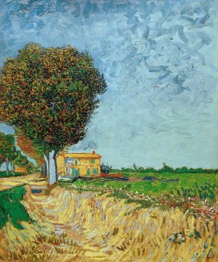 Vincent van Gogh: A Lane near Arles
