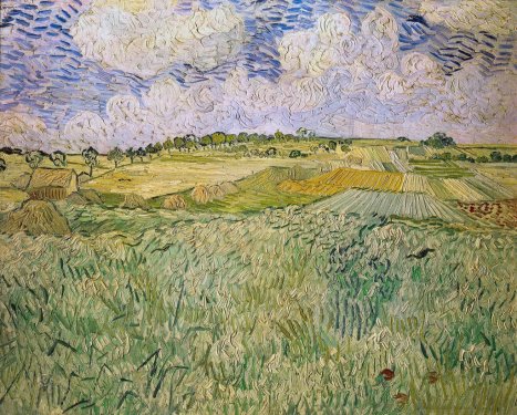Vincent van Gogh: Plain of Auvers - 901144814