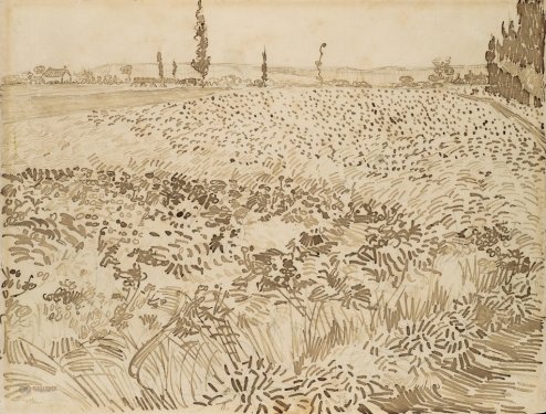 Vincent van Gogh: Wheat Field
