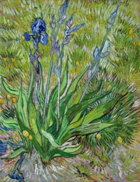 Vincent van Gogh: The Iris - 901144837