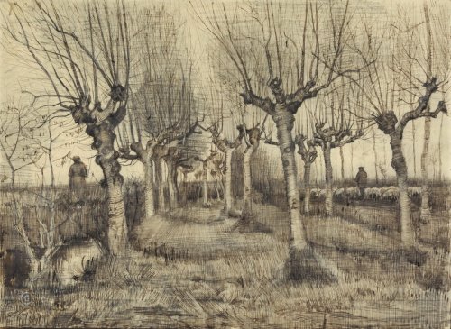 Vincent van Gogh: Pollard Birches - 901144848