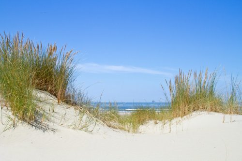View on the sea between two dunes - 901145020