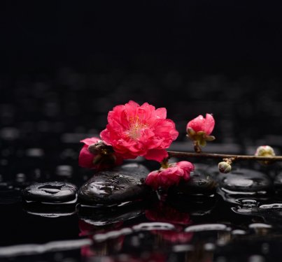 Set of, sakura flowers with therapy stones  - 901145038