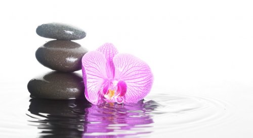 Flower and stones in water - 901145261