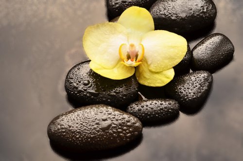  Spa concept. Flower  orchid and stones. - 901145309