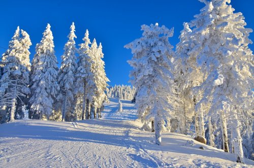 Beautiful ski slope on mountain - 901145538