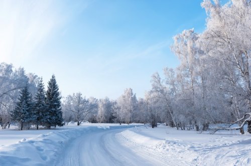 Winter Landscape - 901145541
