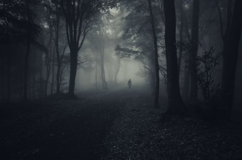 dark forest with spooky man walking on a path - 901145546