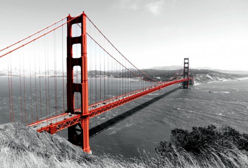Golden Gate Bridge Red Pop on B&W - 901146007