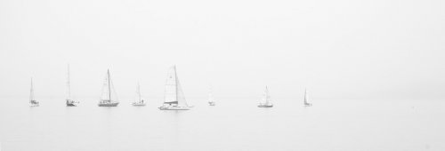 Sea Black and White Ocean Boats - 901146181