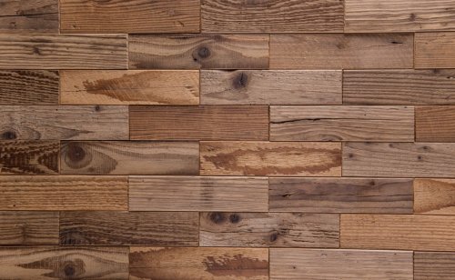 Texture of bark wood - 901146267