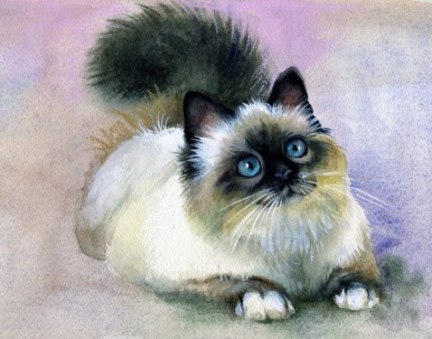 Watercolor Animal Collection: Cat - 901146333