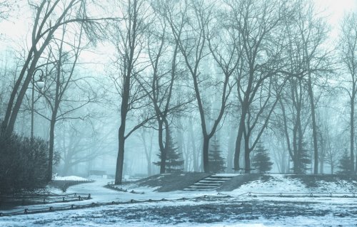 City Park in the fog - 901146496