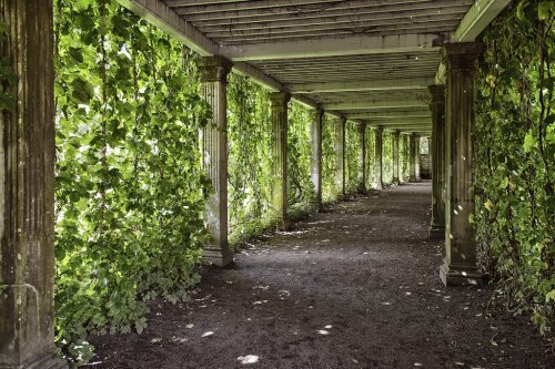 colonnade with the old columns covered with ivy