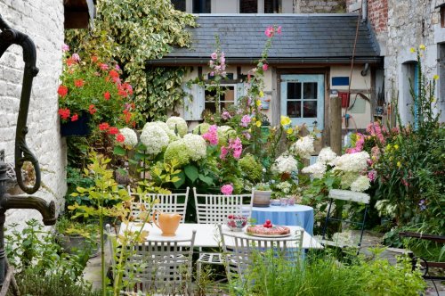 Cozy vintage backyard full of beautiful flowers - 901146537