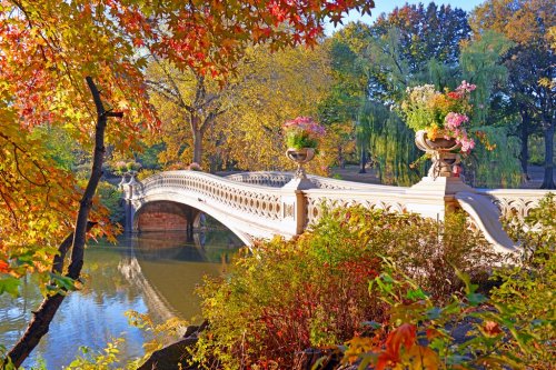 Autumn Colors - fall foliage in Central Park, Manhattan,New York - 901146783