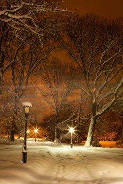 Central Park Under Fresh Snow - New York City, USA