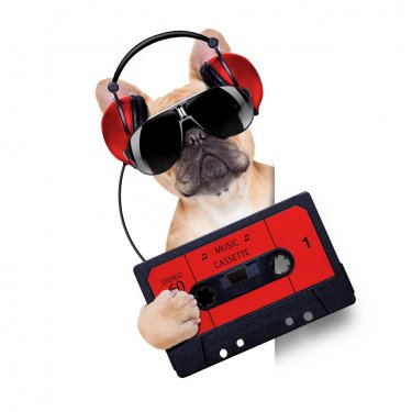 dj disco dog - 901147162