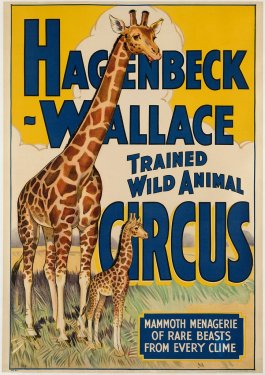 Hagenbeck Wallace Trained Wild Animal Circus - 901147445