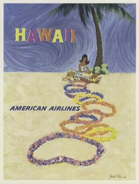 Hawaii American Airlines - 901147506