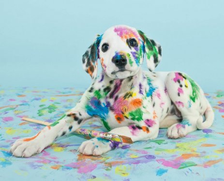 Painted Puppy - 901147658