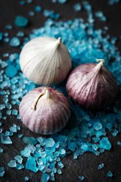 Garlic gloves close-up in salt