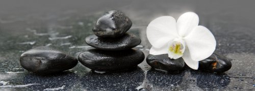 White orchid and black stones close up. - 901148471