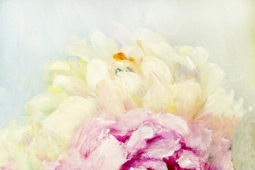 Pink and white peony background. Oil painting floral texture - 901148597