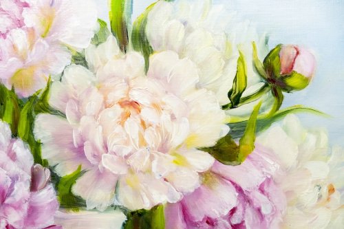 Pink and white peony background. Oil painting floral texture - 901148599