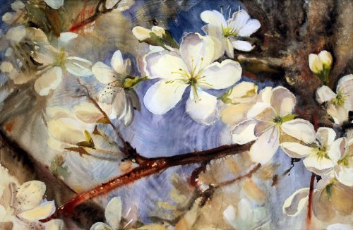 Watercolor painting of the white flowers. - 901148602