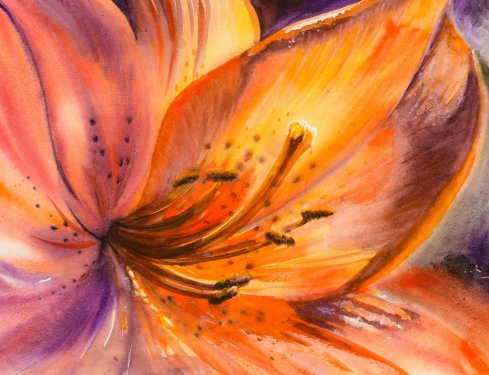 Closeup of orange lily flower.Picture created with watercolors.