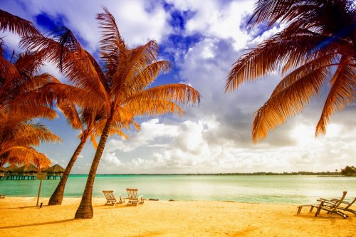 Beautiful view of the beach in Polynesia - 901148919