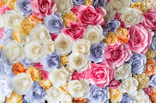 Backdrop of colorful paper roses - 901149050