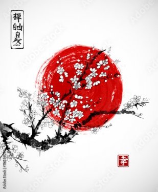 Sakura in blossom and red sun, symbol of Japan on white background. Contains hieroglyphs - zen, freedom, nature, happiness. Traditional Japanese ink painting sumi-e.