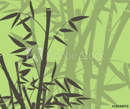bamboo background75 - 901149262