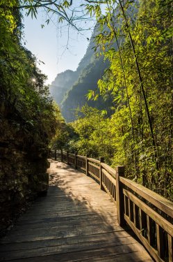 Three Gorges Tribe Scenic Spot along the Yangtze River - 901149281