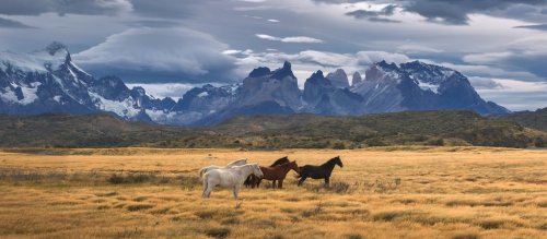 Torres del Paine National Park, Patagonia, Chile - 901149345