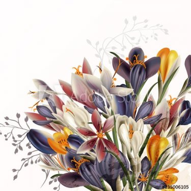 Crocus flowers illustration in realistic vintage style - 901149418