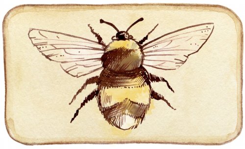 Bee Scrapbooking Embellishment Tag Watercolor