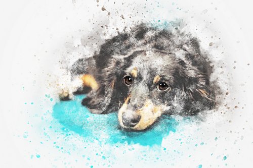 Dog Animal Art Abstract Watercolor Vintage Nature