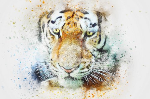 Tiger Animal Art Abstract Watercolor Vintage Cat - 901149942