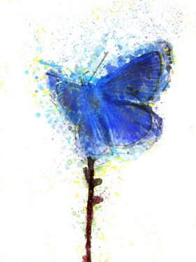 Butterfly Blue Insect Watercolor Nature Design - 901149946