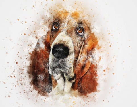Dog Basset Pet Art Abstract Watercolor Vintage - 901149948