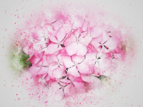 Flower Pink Art Abstract Nature Wedding