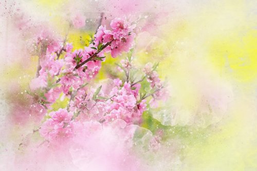 Flowers Pink Art Abstract Nature Watercolor - 901149978