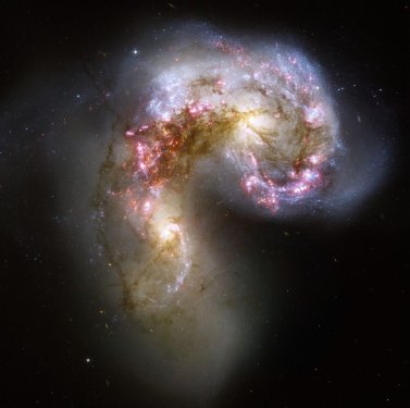 Antennae Galaxies Galaxy Space Constellation Rabe - 901150023