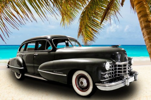 Vehicle Oldtimer Cadillac Sea Beach Palm Holiday
