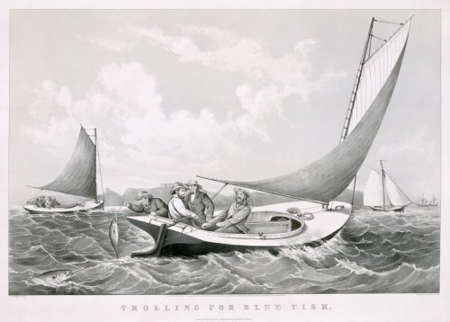 Fischer Fishing Sailing Boats Sail Game Fish 1866
